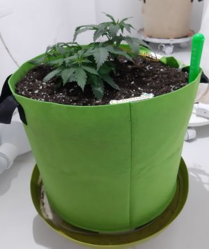 20230912_213447.jpg 20230912_213447.jpg