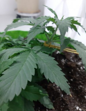 20230912_213410.jpg 20230912_213410.jpg