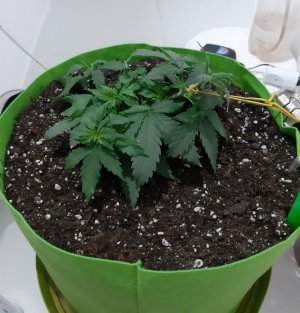 20230912_213337.jpg 20230912_213337.jpg