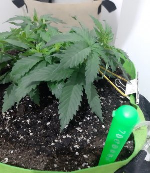 20230912_215551.jpg 20230912_215551.jpg