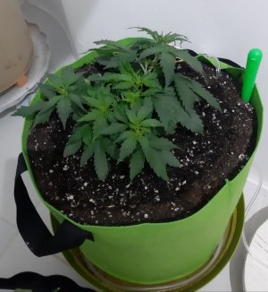 20230912_215533.jpg 20230912_215533.jpg