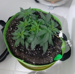 20230912_215517.jpg 20230912_215517.jpg