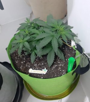 20230913_194415.jpg 20230913_194415.jpg