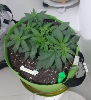 20230913_194333.jpg 20230913_194333.jpg