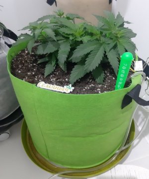 20230913_194315.jpg 20230913_194315.jpg