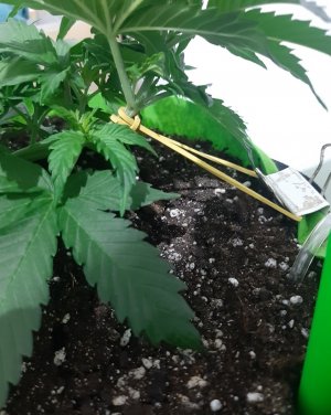 20230913_195115.jpg 20230913_195115.jpg