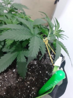 20230913_195050.jpg 20230913_195050.jpg