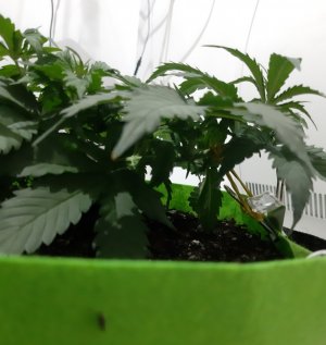 20230913_200742.jpg 20230913_200742.jpg