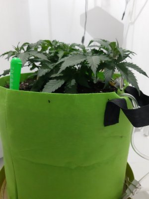 20230913_200726.jpg 20230913_200726.jpg