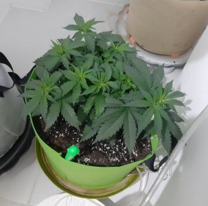 20230913_202746.jpg 20230913_202746.jpg