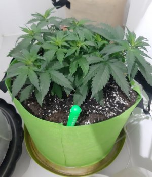 20230913_202805.jpg 20230913_202805.jpg