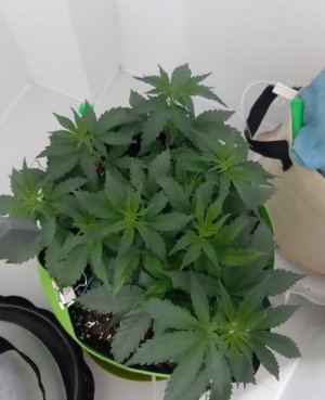 20230913_203423.jpg 20230913_203423.jpg