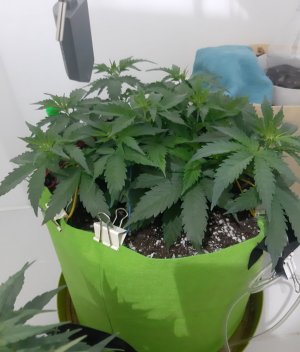 20230913_203441.jpg 20230913_203441.jpg