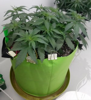 20230914_193340.jpg 20230914_193340.jpg