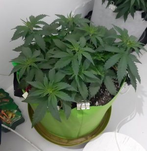 20230914_193402.jpg 20230914_193402.jpg