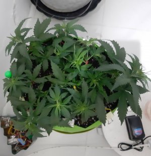 20230914_193027.jpg 20230914_193027.jpg