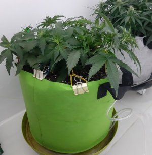 20230914_193105.jpg 20230914_193105.jpg