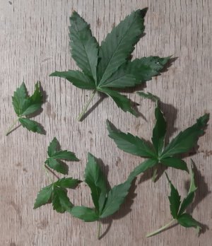 20230914_210351.jpg 20230914_210351.jpg