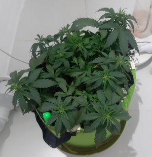 20230914_210416.jpg 20230914_210416.jpg