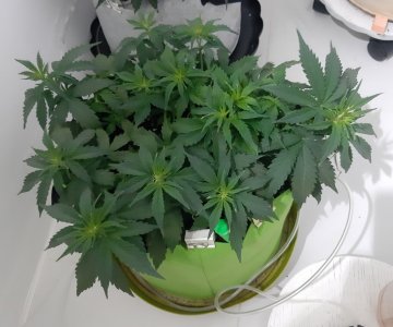 20230914_211933.jpg 20230914_211933.jpg