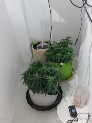 20230914_215528.jpg 20230914_215528.jpg