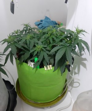 20230914_215647.jpg 20230914_215647.jpg