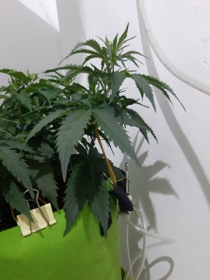 20230914_215613.jpg 20230914_215613.jpg