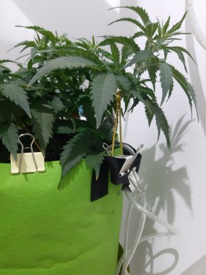 20230914_215559.jpg 20230914_215559.jpg