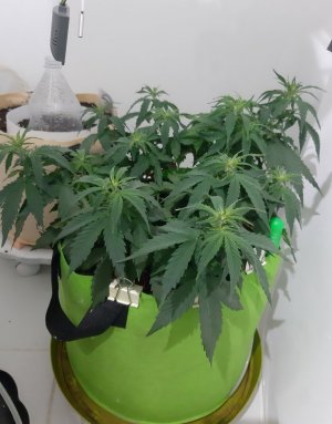 20230915_171646.jpg 20230915_171646.jpg