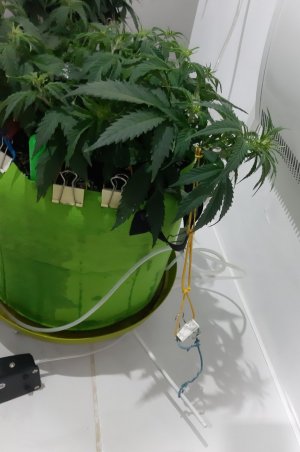 20230915_171421.jpg 20230915_171421.jpg