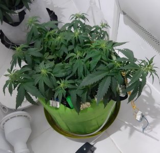 20230915_171353.jpg 20230915_171353.jpg