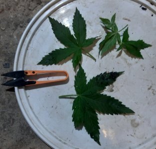 20230915_171523.jpg 20230915_171523.jpg