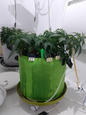 20230915_171332.jpg 20230915_171332.jpg