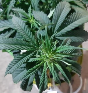 20230915_171312.jpg 20230915_171312.jpg