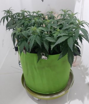 20230915_180727.jpg 20230915_180727.jpg