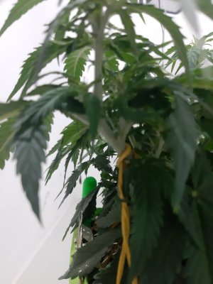 20230915_180652.jpg 20230915_180652.jpg