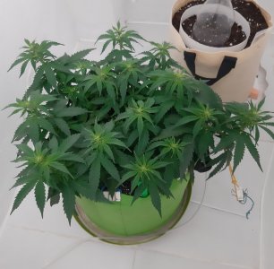 20230915_181958.jpg 20230915_181958.jpg