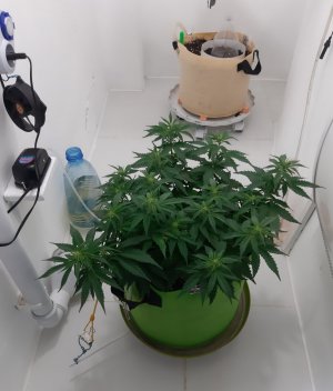 20230915_182918.jpg 20230915_182918.jpg