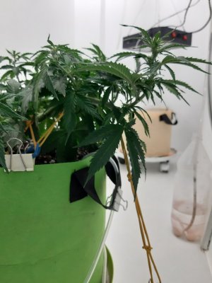 20230915_182725.jpg 20230915_182725.jpg