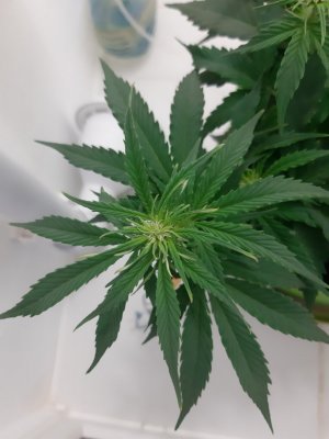 20230915_182835.jpg 20230915_182835.jpg