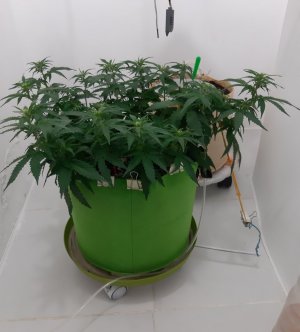 20230916_103006.jpg 20230916_103006.jpg