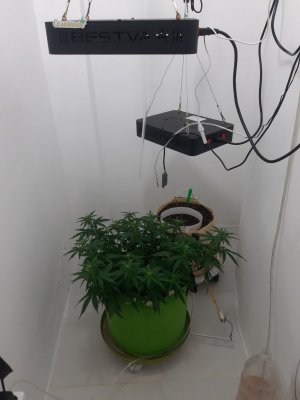 20230916_103903.jpg 20230916_103903.jpg