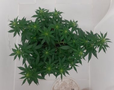 20230916_103708.jpg 20230916_103708.jpg