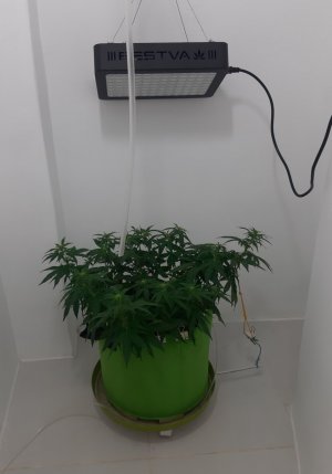 20230916_103411.jpg 20230916_103411.jpg