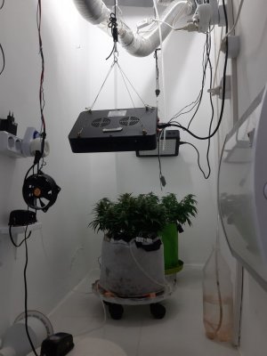 20230916_113505.jpg 20230916_113505.jpg