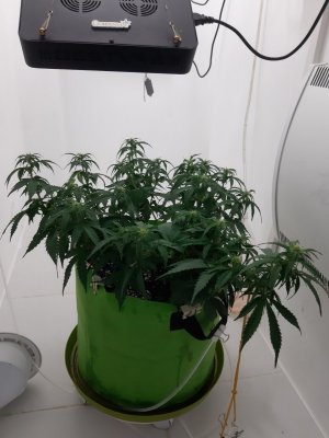 20230916_122447.jpg 20230916_122447.jpg