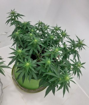 20230916_211437.jpg 20230916_211437.jpg