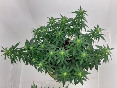 20230916_211405.jpg 20230916_211405.jpg