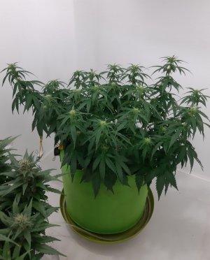 20230916_211203.jpg 20230916_211203.jpg