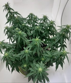 20230916_211043.jpg 20230916_211043.jpg